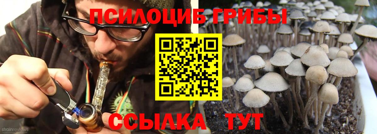 Бошки Шишки  Феодосия  Метадон  Кокаин  Мефедрон кристаллы  ГАШ  Вход с VPN  ЭКСТАЗИ  Альфа ПВП СК   Канабис 